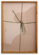 Present | Credits to Ulrike Brugger | Fotografie | 2020