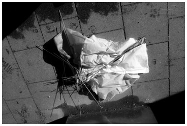 broken Umbrella | Fotografie  | 42 x 59.4 cm | 21 x 30 cm | 2022