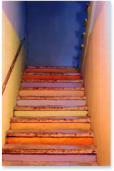 Farbgestaltung | Farbkonzept für eine Kellerstreppe | Blutenburgstrasse | 1996